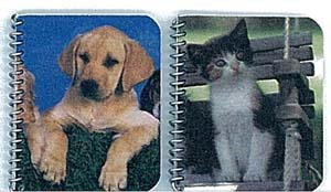 Large Spiral Notebooks with Designs